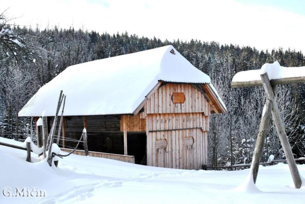 Villa Tourist Farm Kladje Ljubno Exterior foto