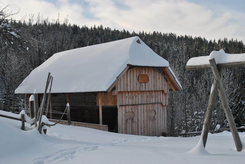 Villa Tourist Farm Kladje Ljubno Exterior foto